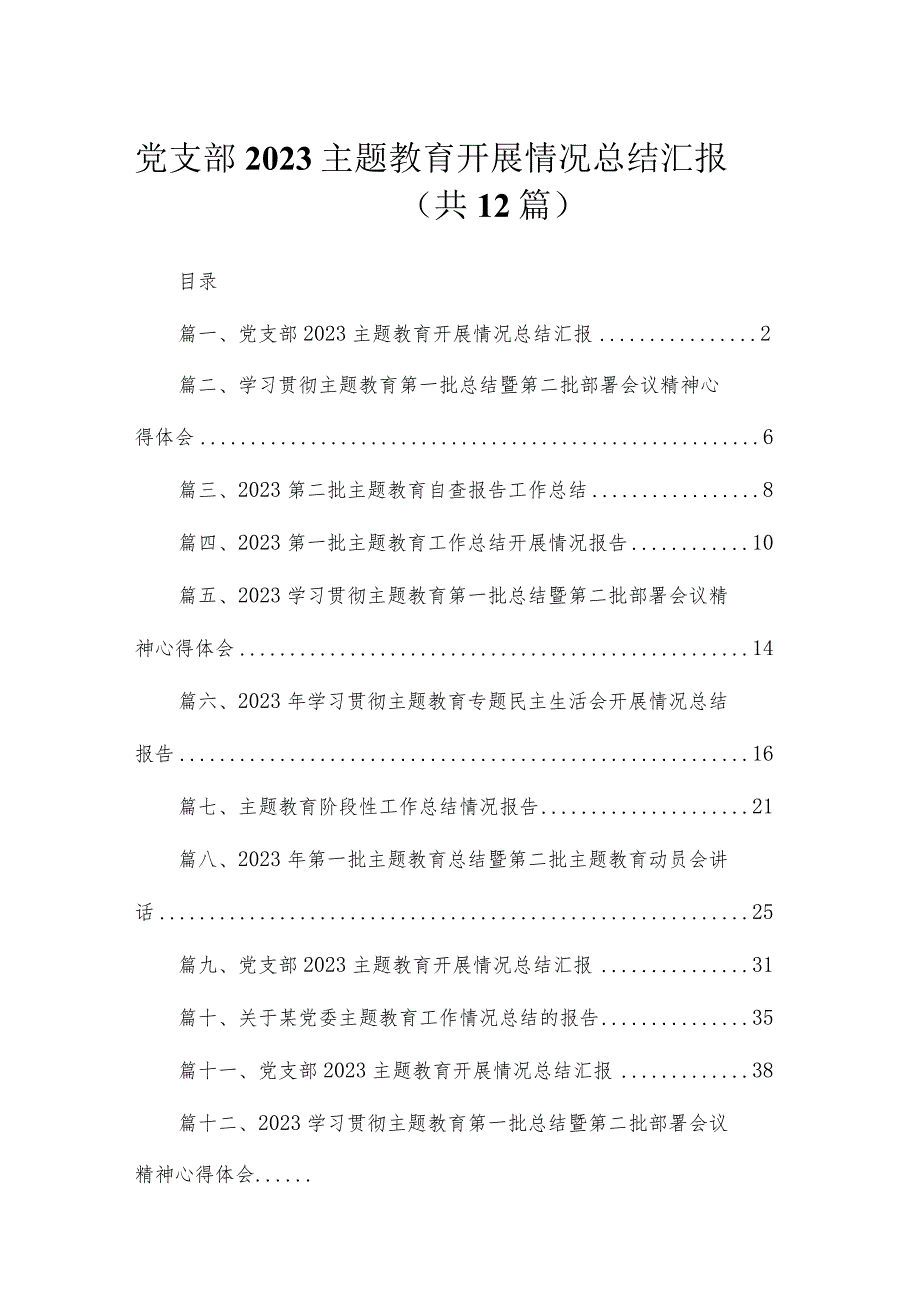 2023党支部主题教育开展情况总结汇报12篇（精编版）.docx_第1页