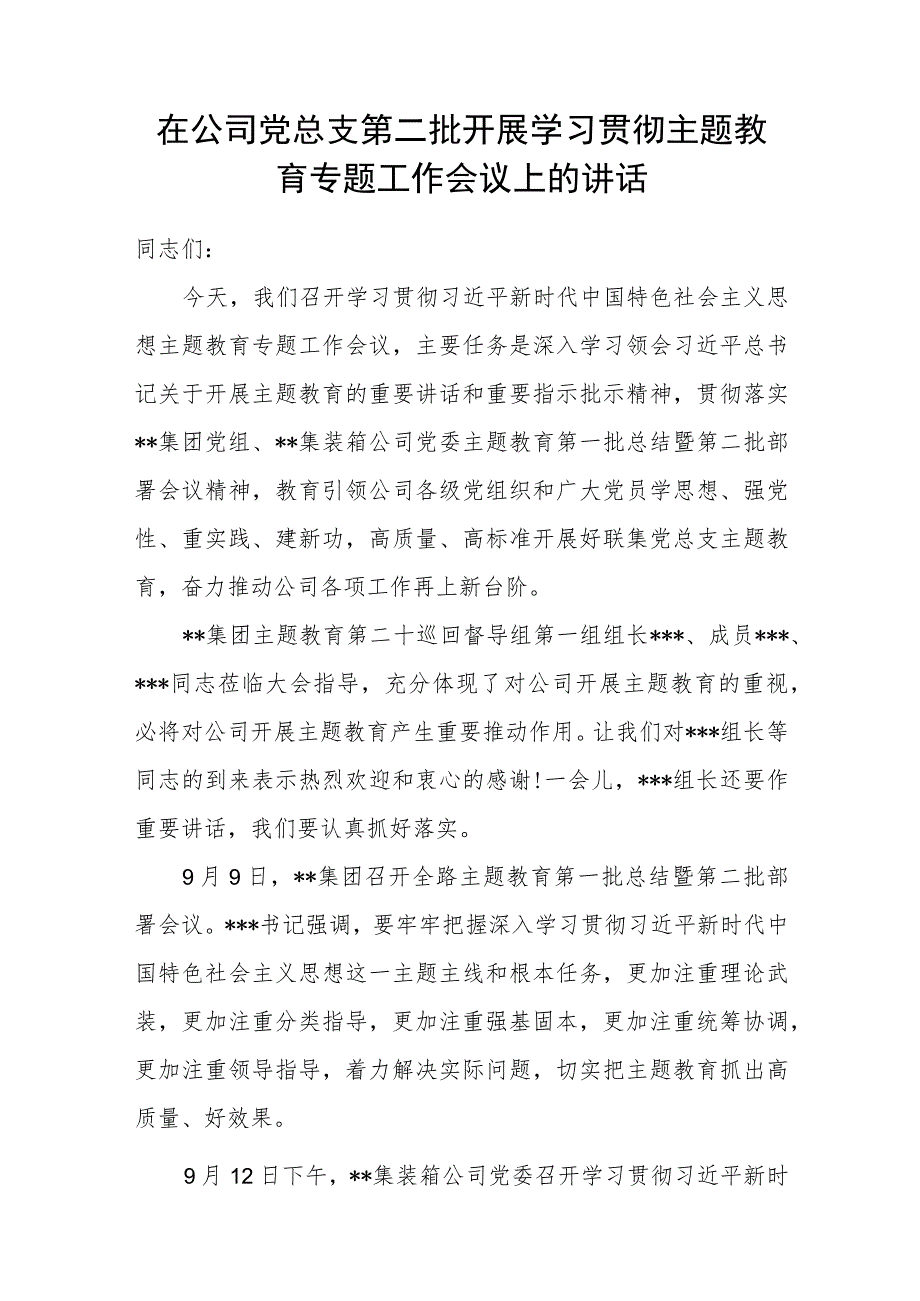 在公司党总支2023年开展学习贯彻第二批主题教育专题工作会议上的讲话发言.docx_第1页