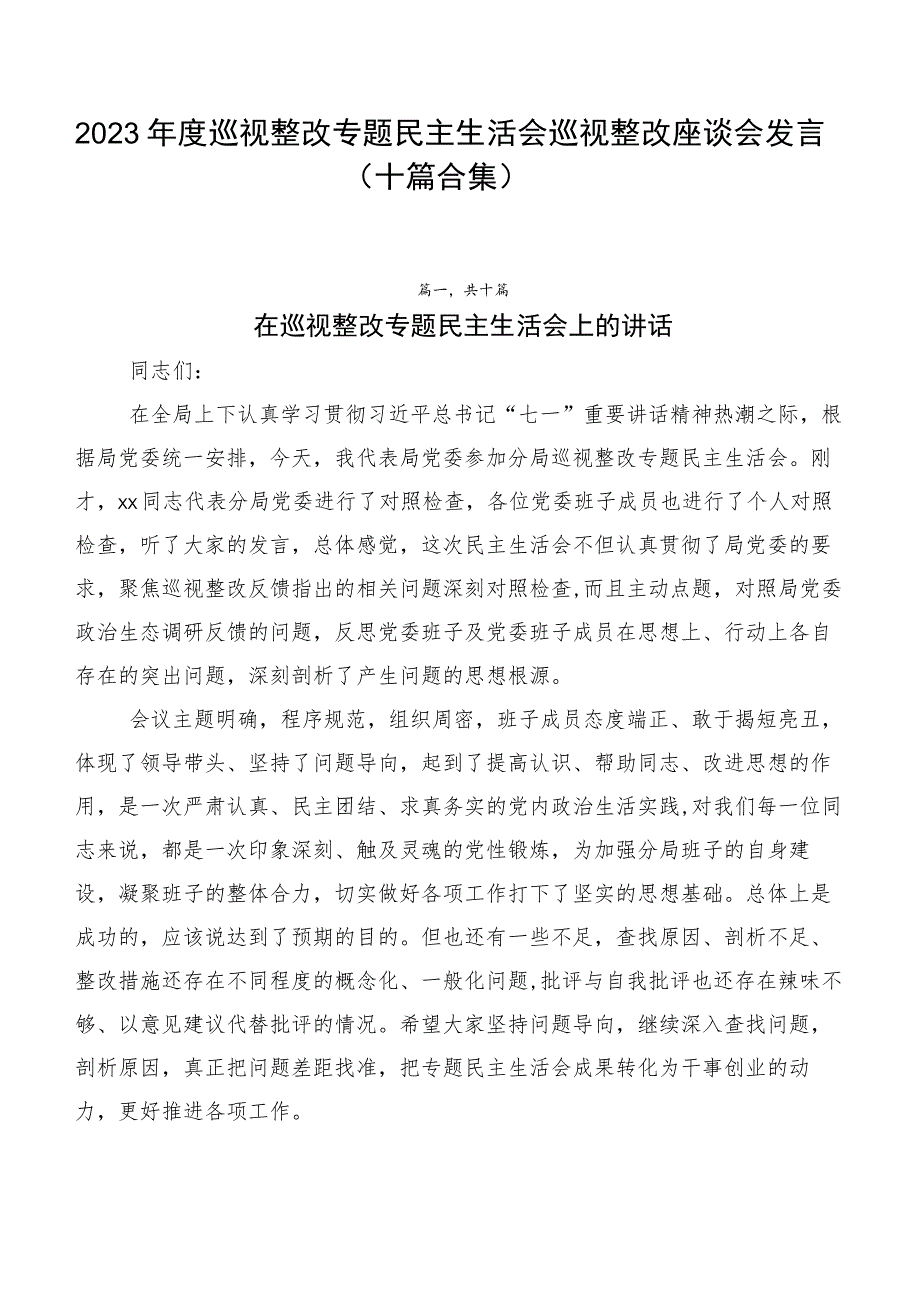 2023年度巡视整改专题民主生活会巡视整改座谈会发言（十篇合集）.docx_第1页