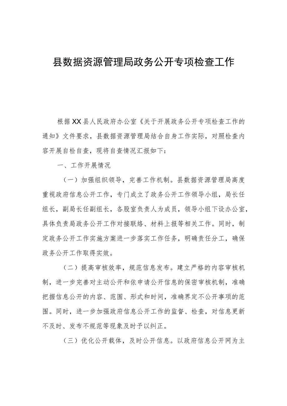 县数据资源管理局政务公开专项检查工作自查报告.docx_第1页