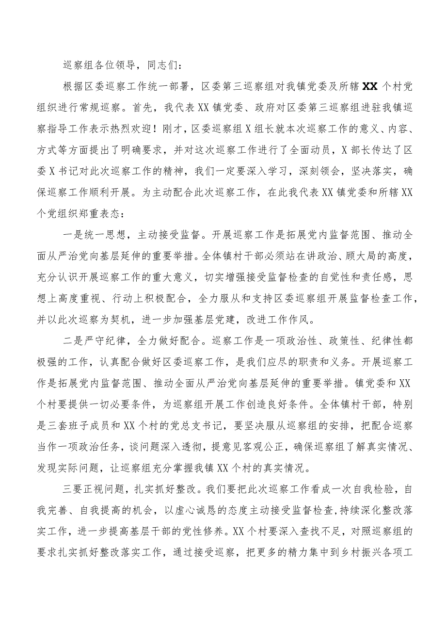 2023年巡视“回头看”反馈意见整改落实专题民主生活会巡视整改整改工作会的表态发言多篇.docx_第3页