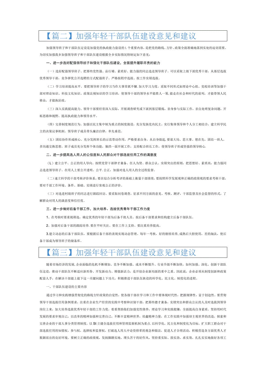 加强年轻干部队伍建设意见和建议6篇.docx_第2页