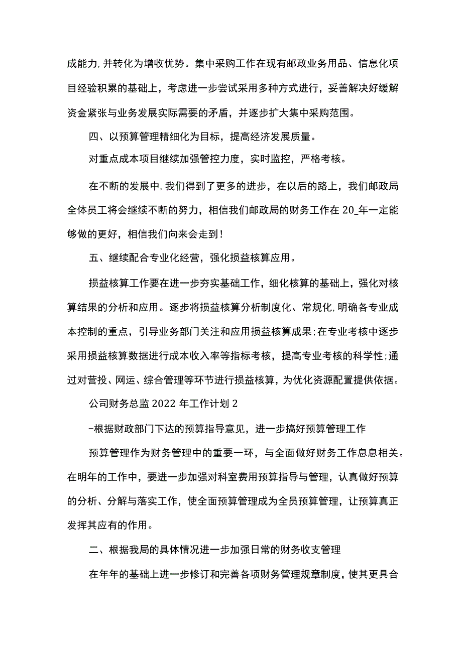 公司财务总监2022年工作计划范文模板.docx_第2页