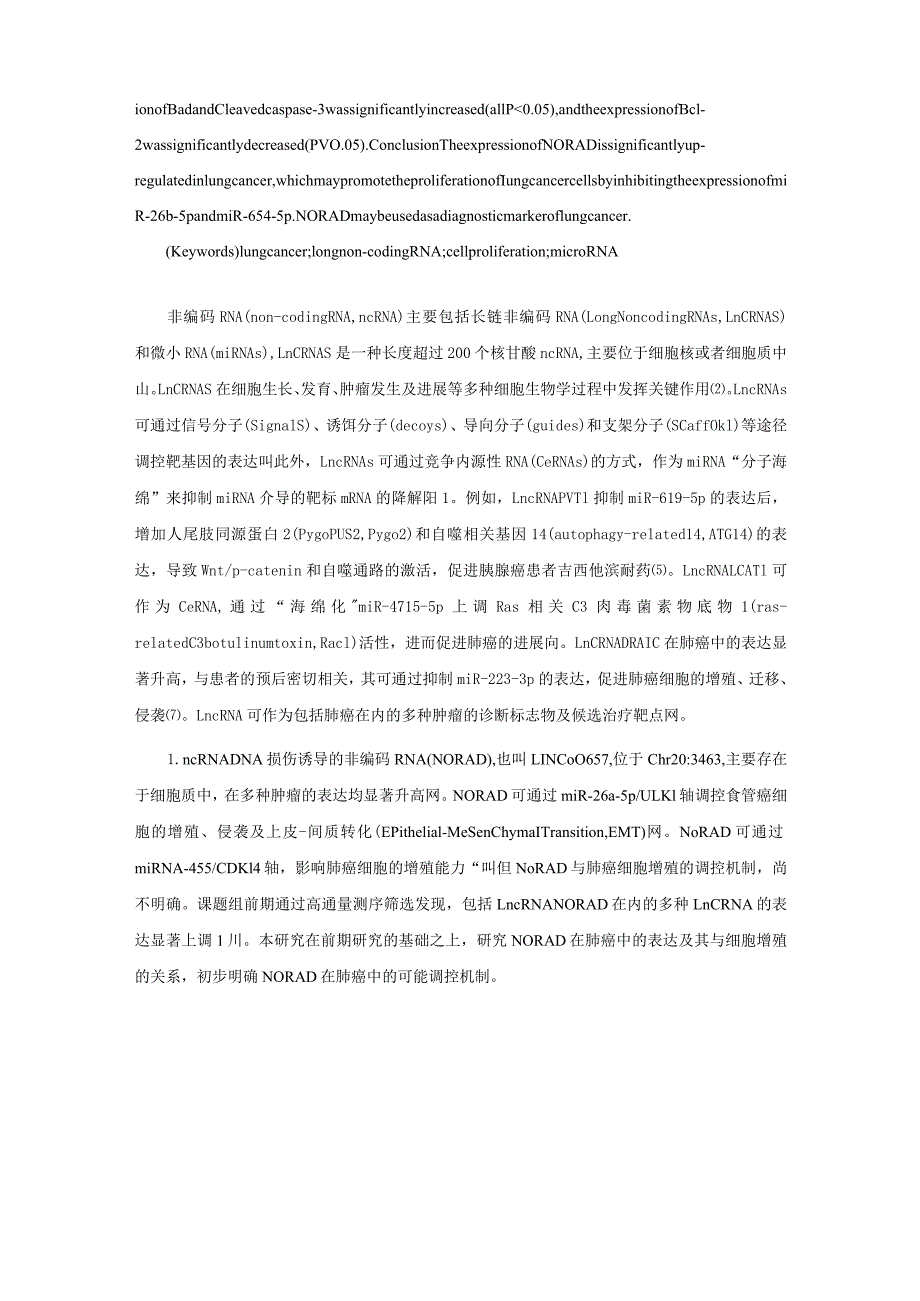 长链非编码RNANORAD在肺癌中的表达及其对肺癌细胞增殖能力的影响.docx_第3页