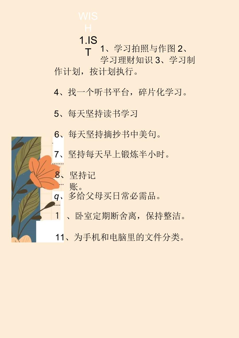 个人愿望清单.docx_第1页