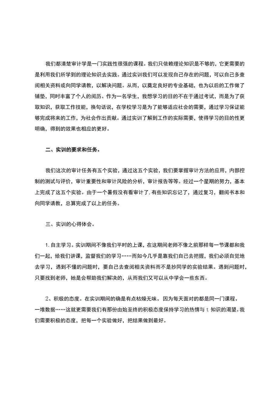 审计实训心得体会(精选5篇).docx_第3页