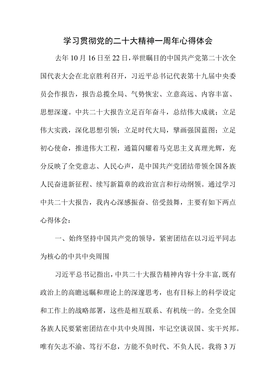 2023年刑侦支队长学习贯彻《党的二十大精神》一周年个人心得体会合计8份.docx_第1页