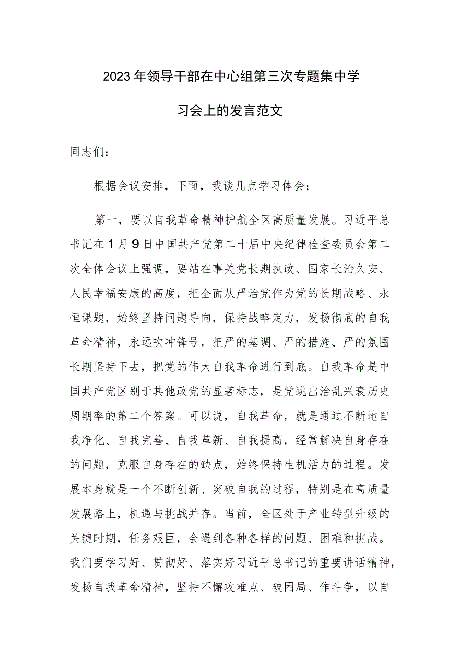 2023年领导干部在中心组第三次专题集中学习会上的发言范文.docx_第1页