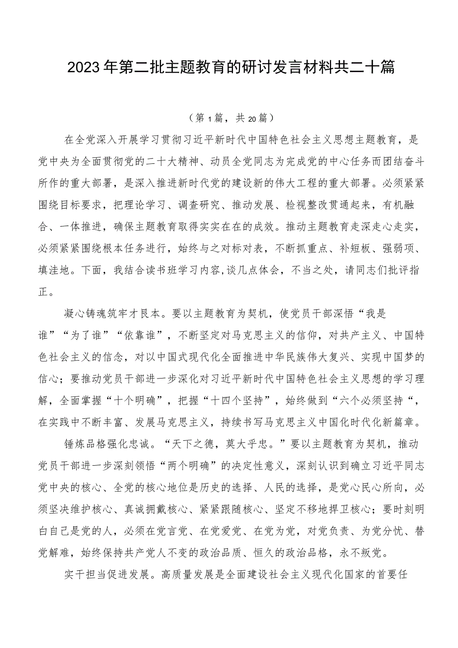 2023年第二批主题教育的研讨发言材料共二十篇.docx_第1页