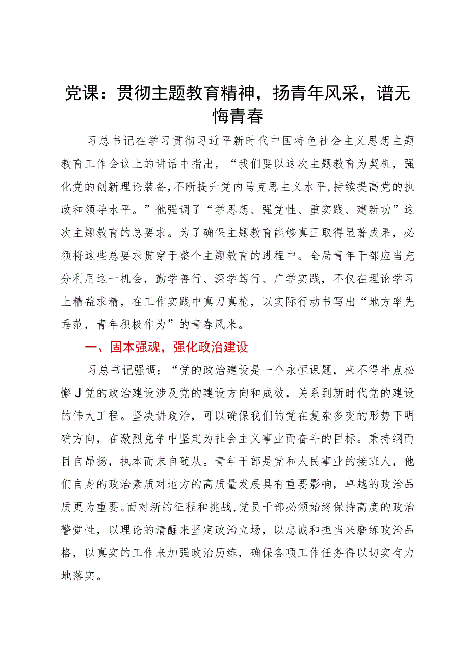 党课：贯彻主题教育精神 扬青年风采 谱无悔青春.docx_第1页