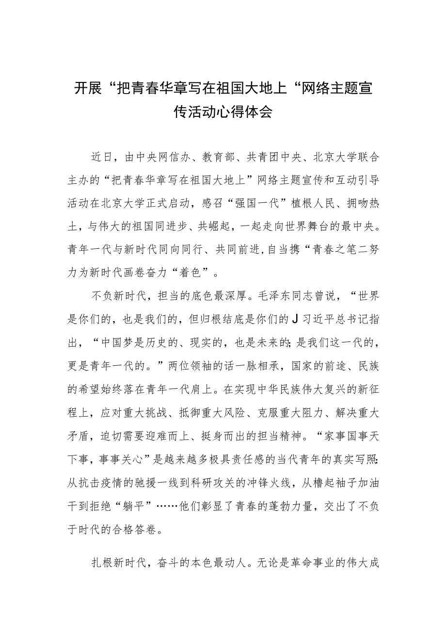 开展“把青春华章写在祖国大地上”网络主题宣传活动心得体会与感悟3篇.docx_第2页