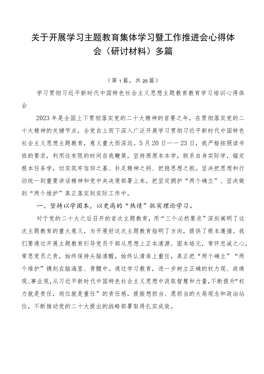 关于开展学习主题教育集体学习暨工作推进会心得体会（研讨材料）多篇.docx_第1页