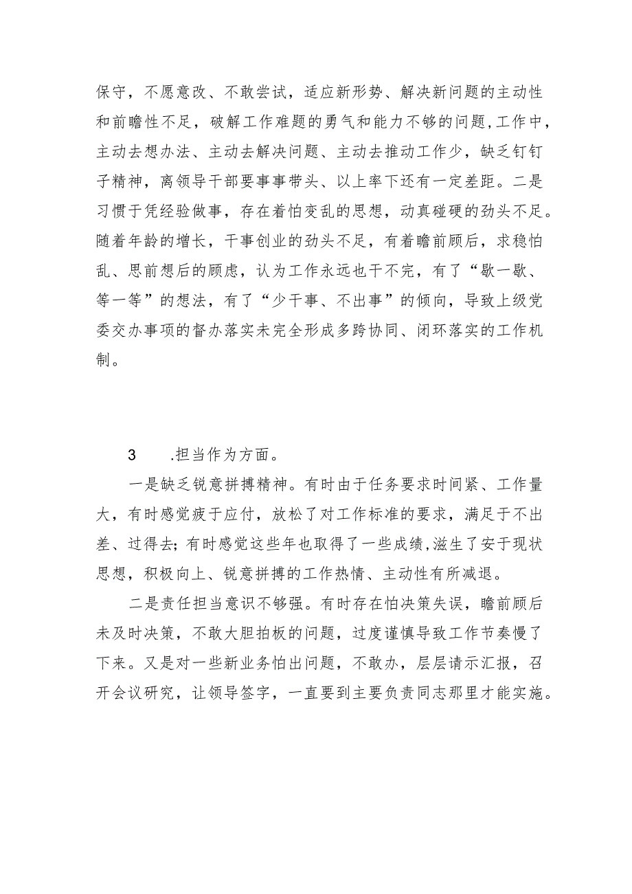 2024年主题教育专题民主组织生活会“担当作为”方面存在问题清单20条.docx_第2页