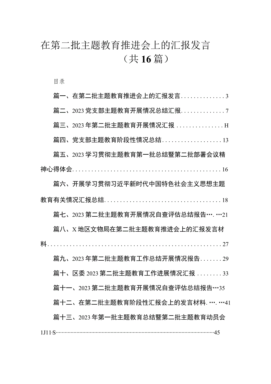 2023在第二批主题教育推进会上的汇报发言（16篇）.docx_第1页