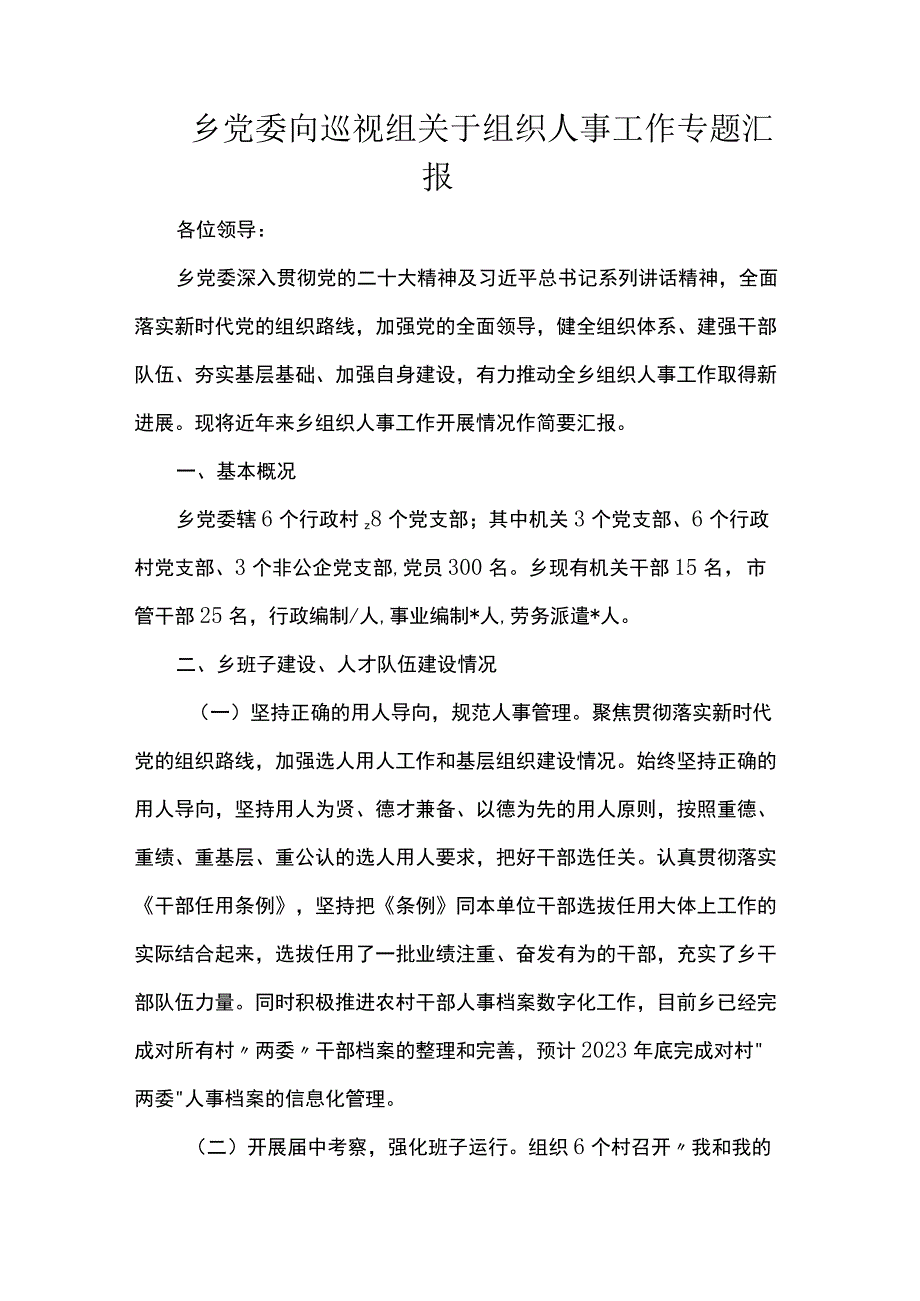 乡党委向巡视组关于组织人事工作专题汇报.docx_第1页