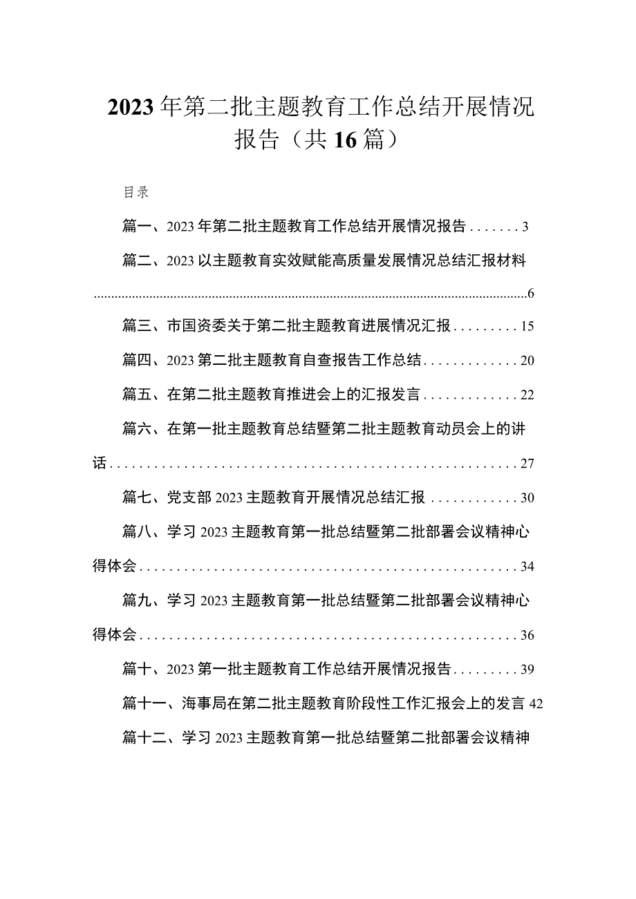 2023年第二批主题教育工作总结开展情况报告（共16篇）.docx_第1页