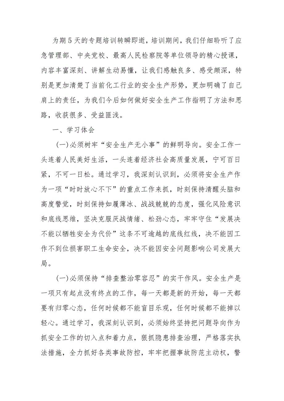 在应急管理专题培训班上的学习发言：强化安全发展理念 筑牢安全生产防线.docx_第1页