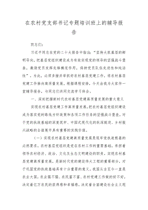 在农村党支部书记专题培训班上的辅导报告.docx