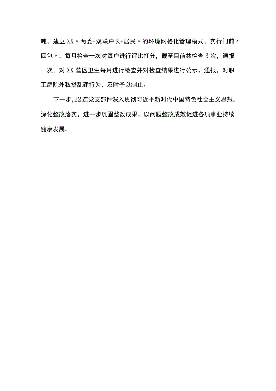 党支部问题整改情况报告.docx_第3页