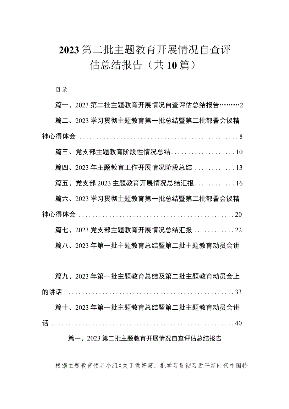 2023第二批主题教育开展情况自查评估总结报告（共10篇）.docx_第1页