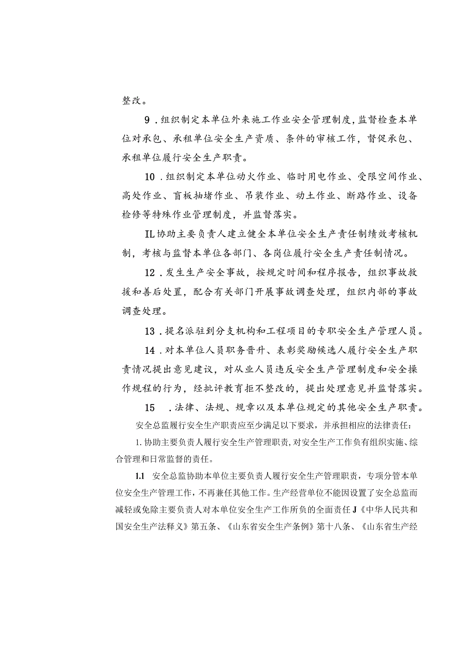 《企业安全总监十五项安全生产责任清单》（全文）.docx_第3页