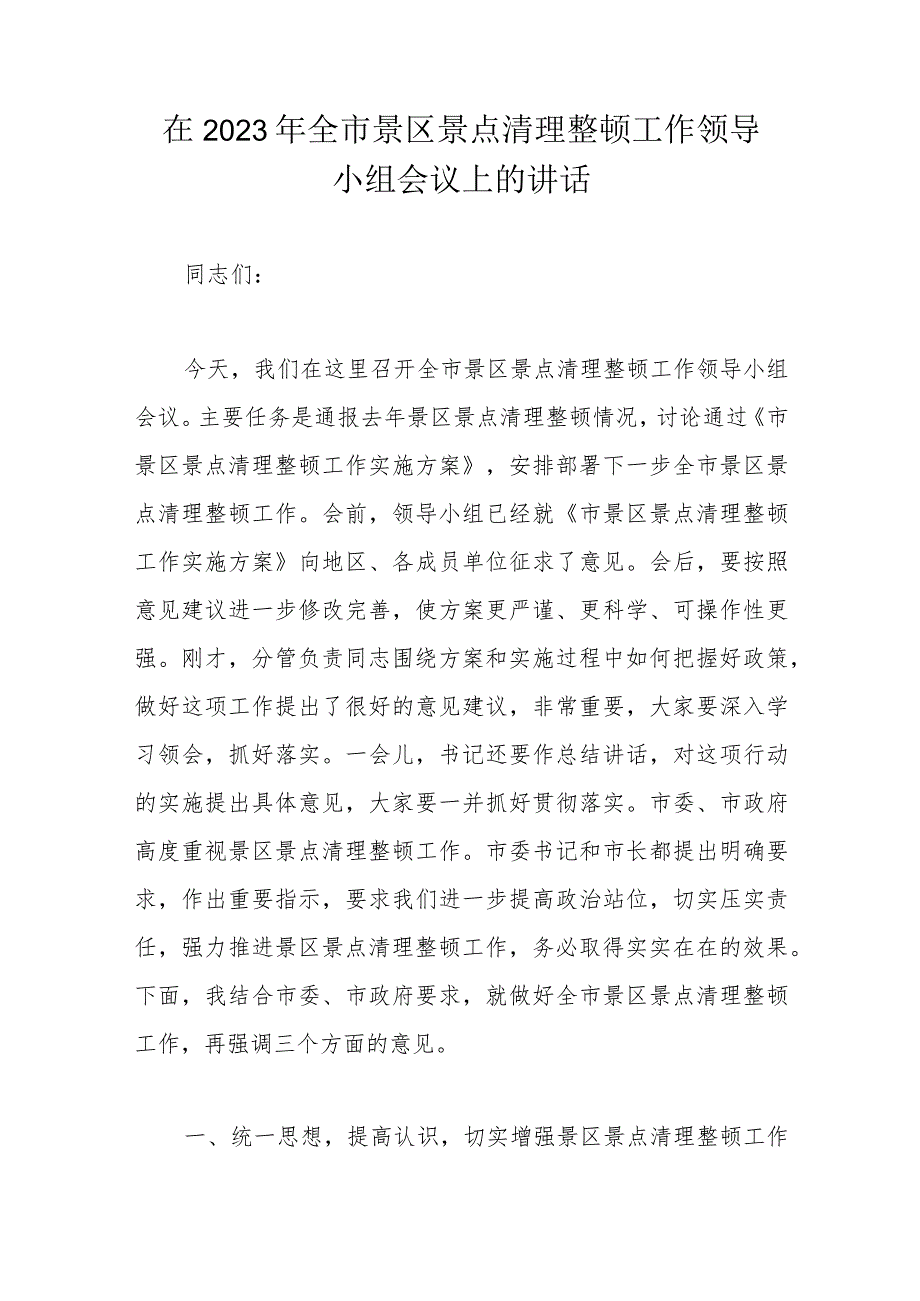 在2023年全市景区景点清理整顿工作领导小组会议上的讲话.docx_第1页