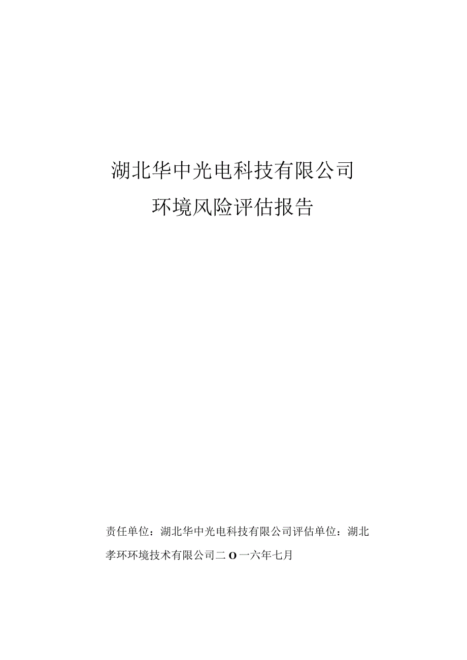 湖北华中光电科技有限公司环境风险评估报告.docx_第1页