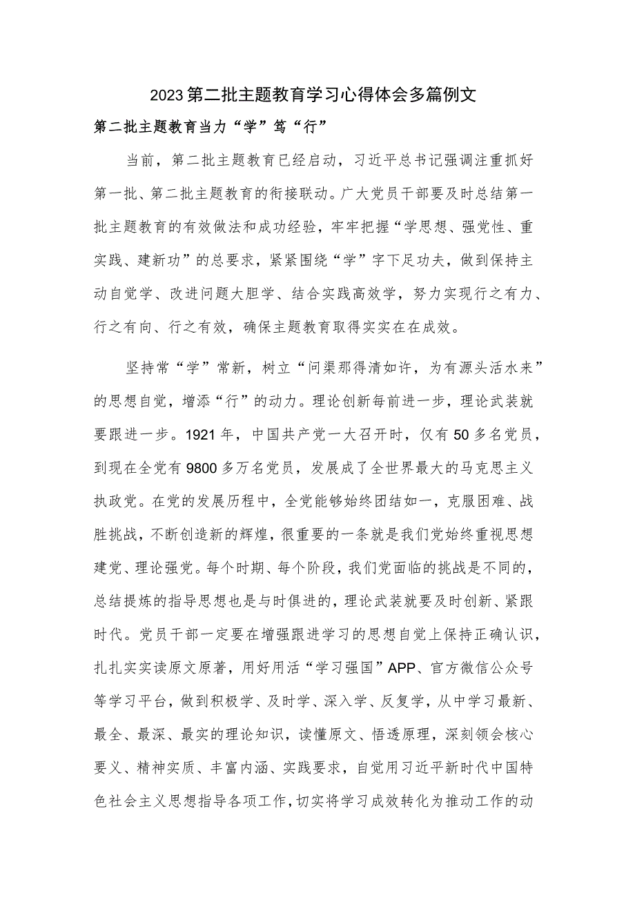 2023第二批主题教育学习心得体会多篇例文.docx_第1页