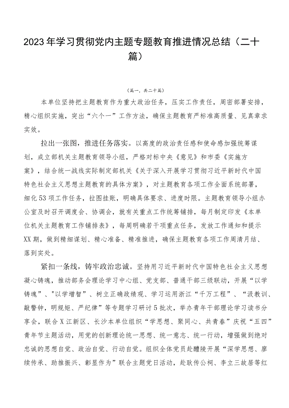 2023年学习贯彻党内主题专题教育推进情况总结（二十篇）.docx_第1页