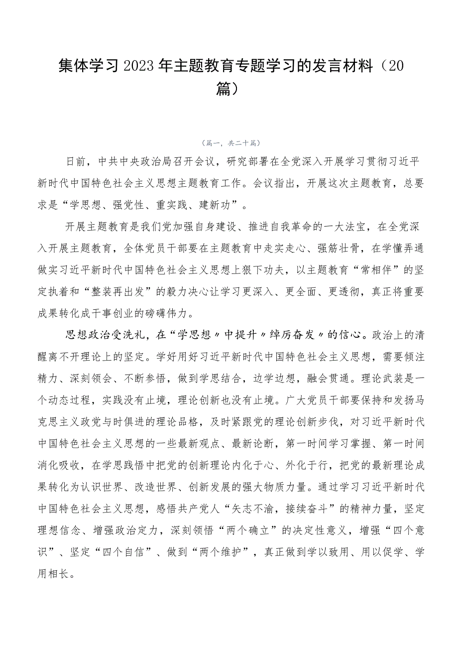 集体学习2023年主题教育专题学习的发言材料（20篇）.docx_第1页