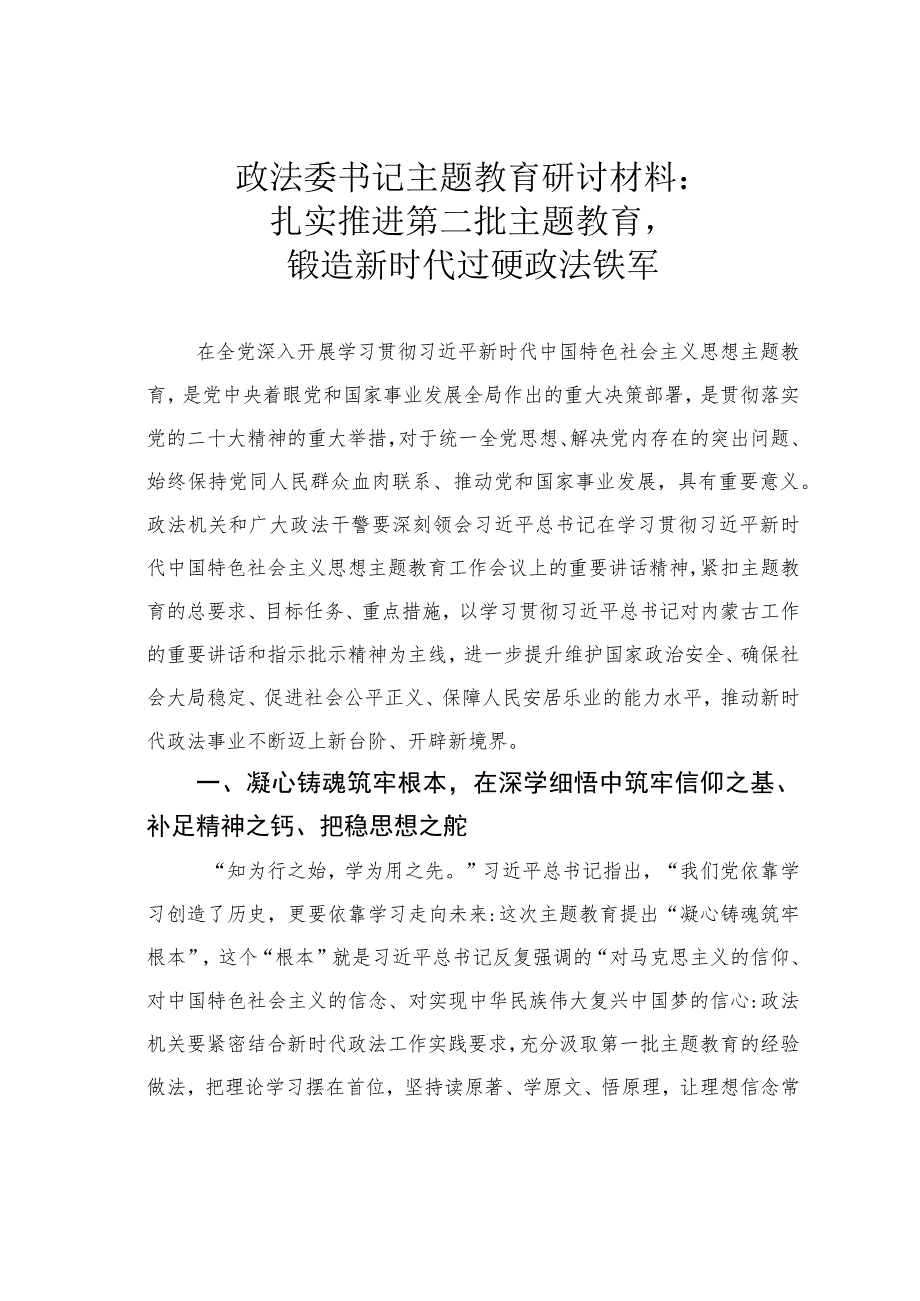 政法委书记主题教育研讨材料：扎实推进第二批主题教育锻造新时代过硬政法铁军.docx_第1页