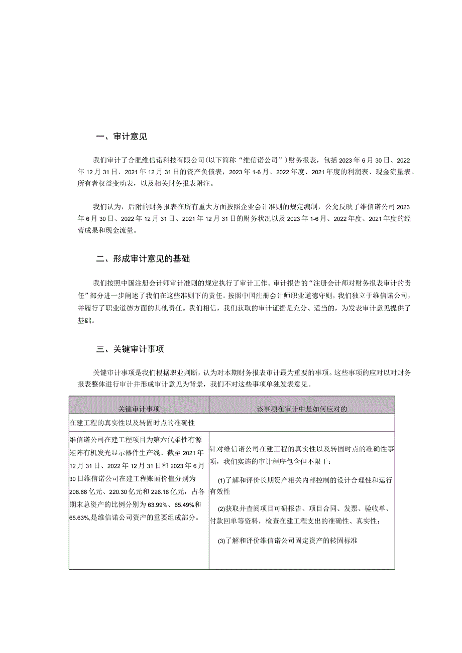 维信诺：合肥维信诺科技有限公司审计报告.docx_第2页