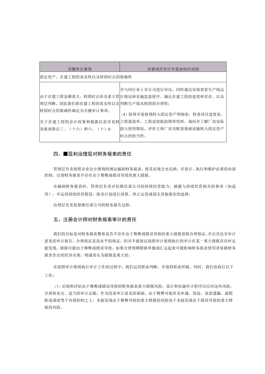 维信诺：合肥维信诺科技有限公司审计报告.docx_第3页