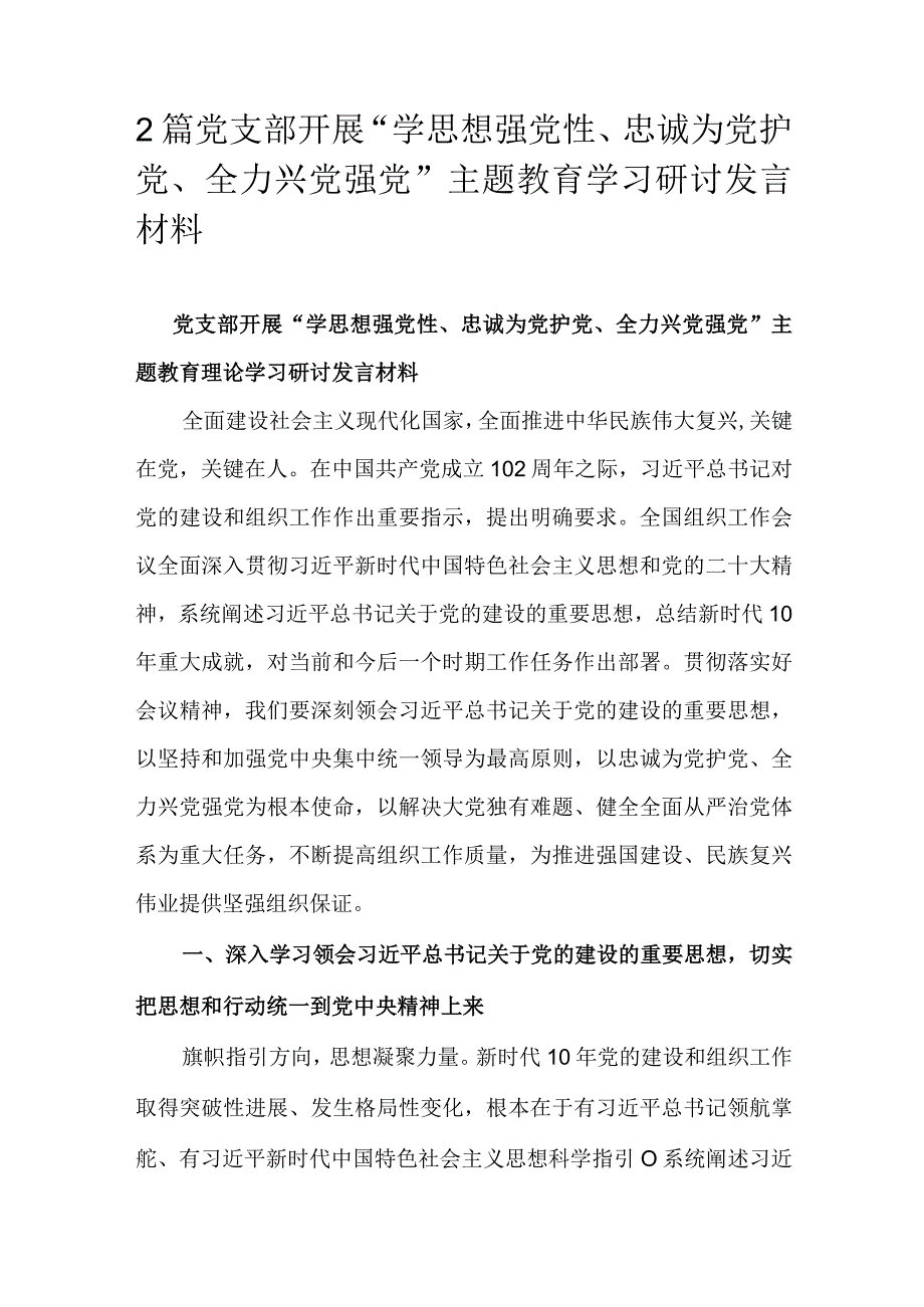 2篇党支部开展“学思想强党性、忠诚为党护党、全力兴党强党”主题教育学习研讨发言材料.docx_第1页