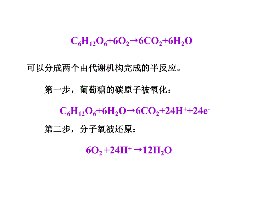 8电子传递与氧化磷酸化1.ppt_第2页