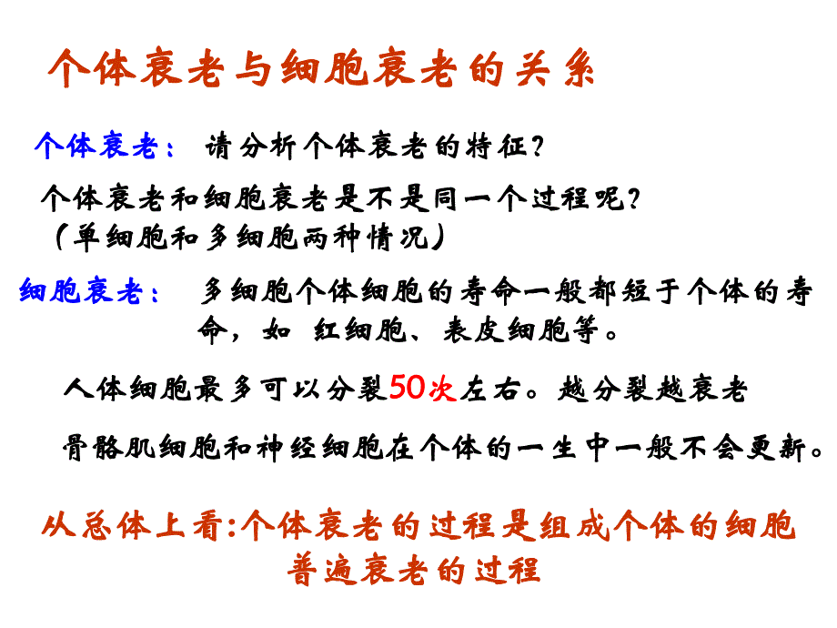 6.3细胞的衰老和凋亡课件2.ppt_第3页