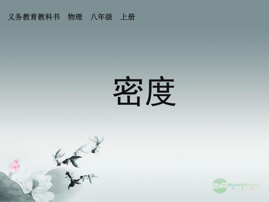 6.2密度课件.ppt_第1页