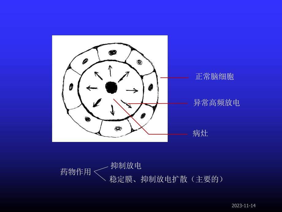 第13章抗癫痫药和抗惊厥药.ppt_第3页