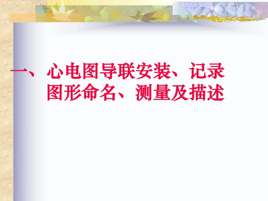 常见心电图诊断基础.ppt_第3页