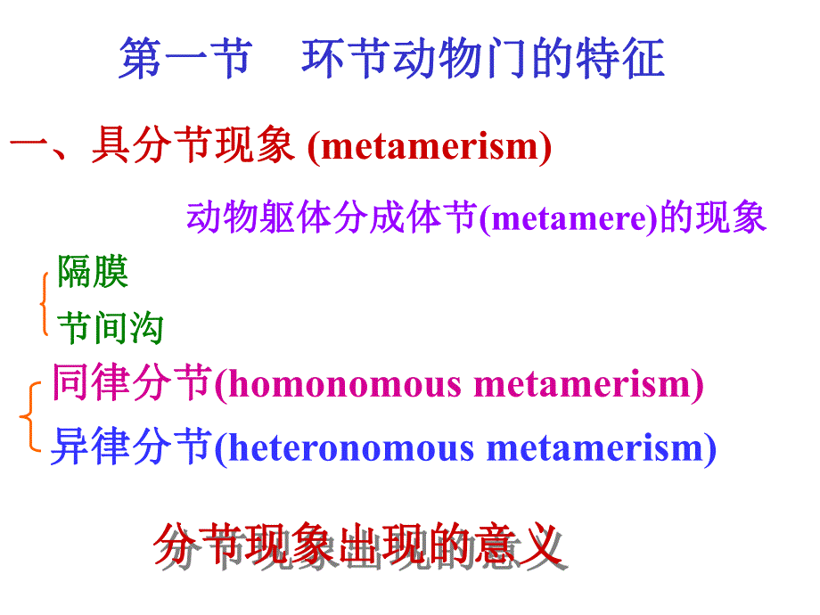 9.环节动物.ppt_第2页