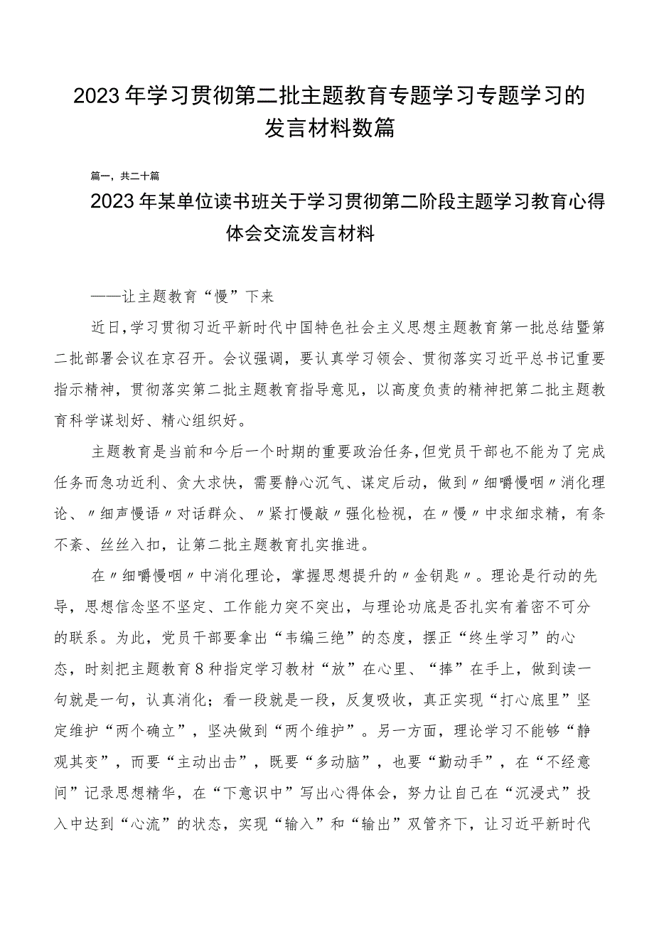 2023年学习贯彻第二批主题教育专题学习专题学习的发言材料数篇.docx_第1页