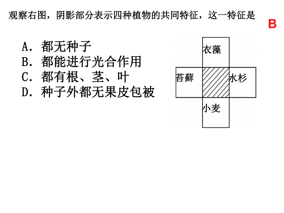 6.1.2从种到界.ppt_第1页