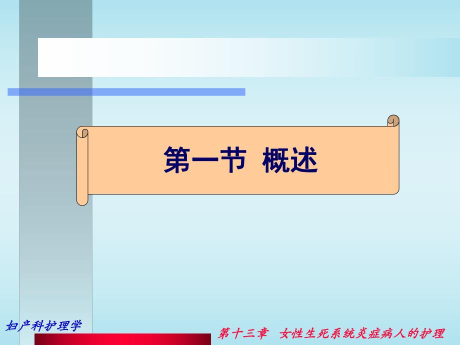 第13章炎症名师编辑PPT课件.ppt_第2页