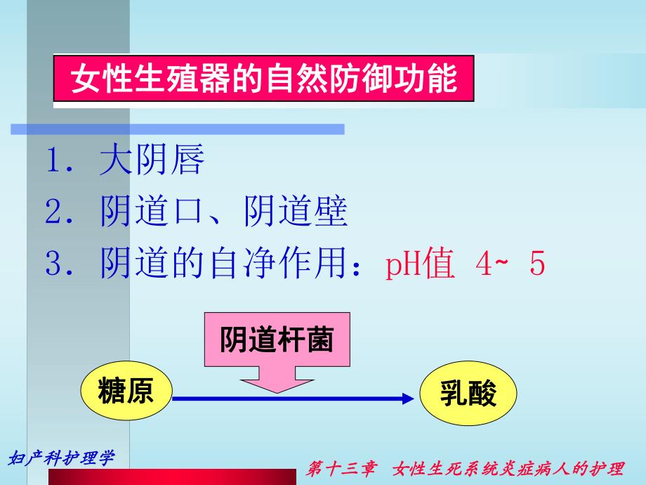 第13章炎症名师编辑PPT课件.ppt_第3页