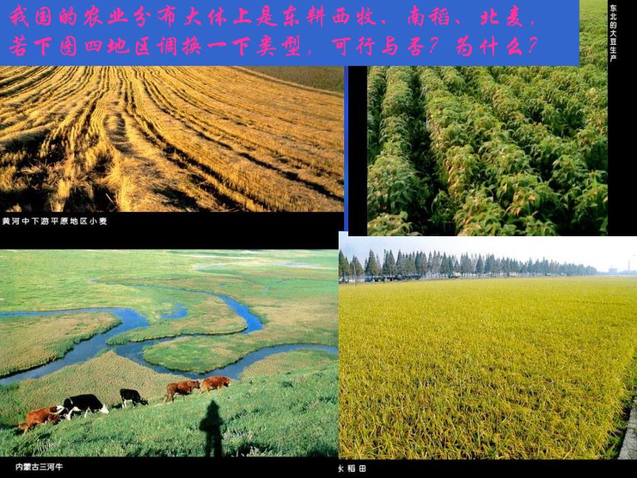 8第一节农业区位因素.ppt_第3页