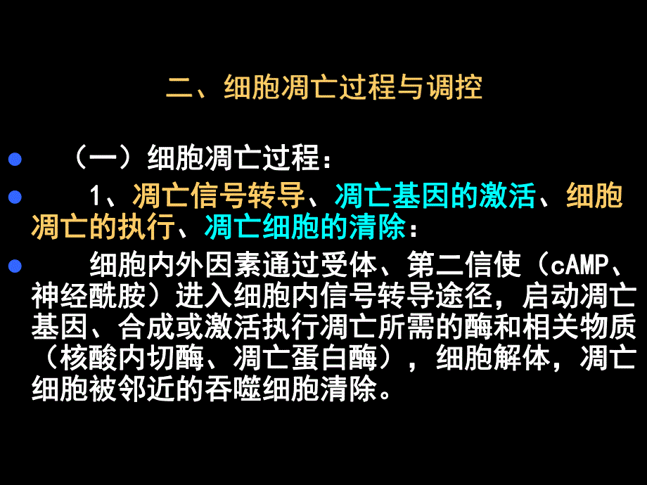 第13章细胞凋亡与疾病名师编辑PPT课件.ppt_第3页