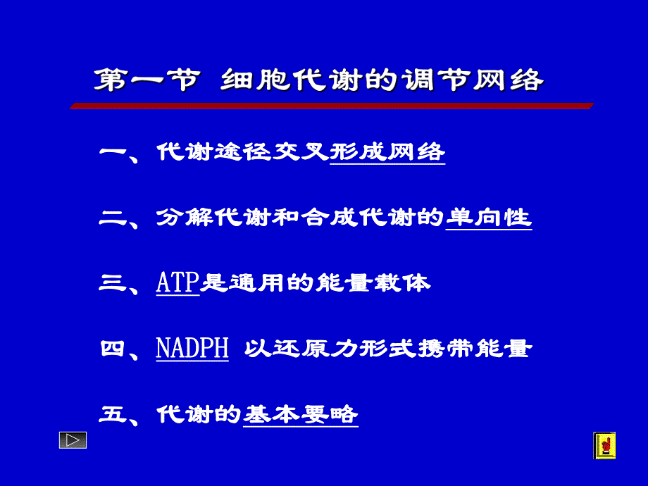 第13章物质代谢的联系及其调控.ppt_第2页