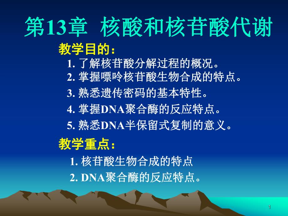 第13章核酸和核苷酸代谢.ppt_第1页