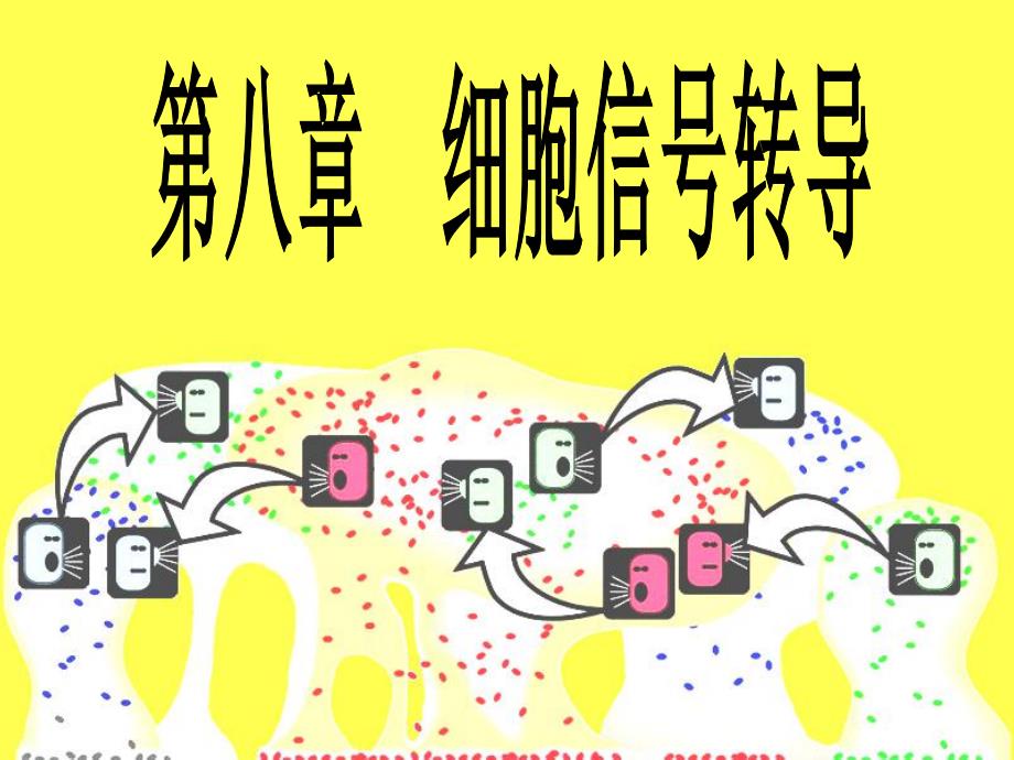 8细胞信号转导66.ppt_第1页