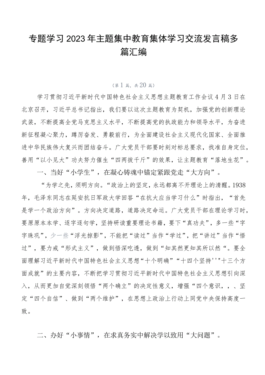 专题学习2023年主题集中教育集体学习交流发言稿多篇汇编.docx_第1页